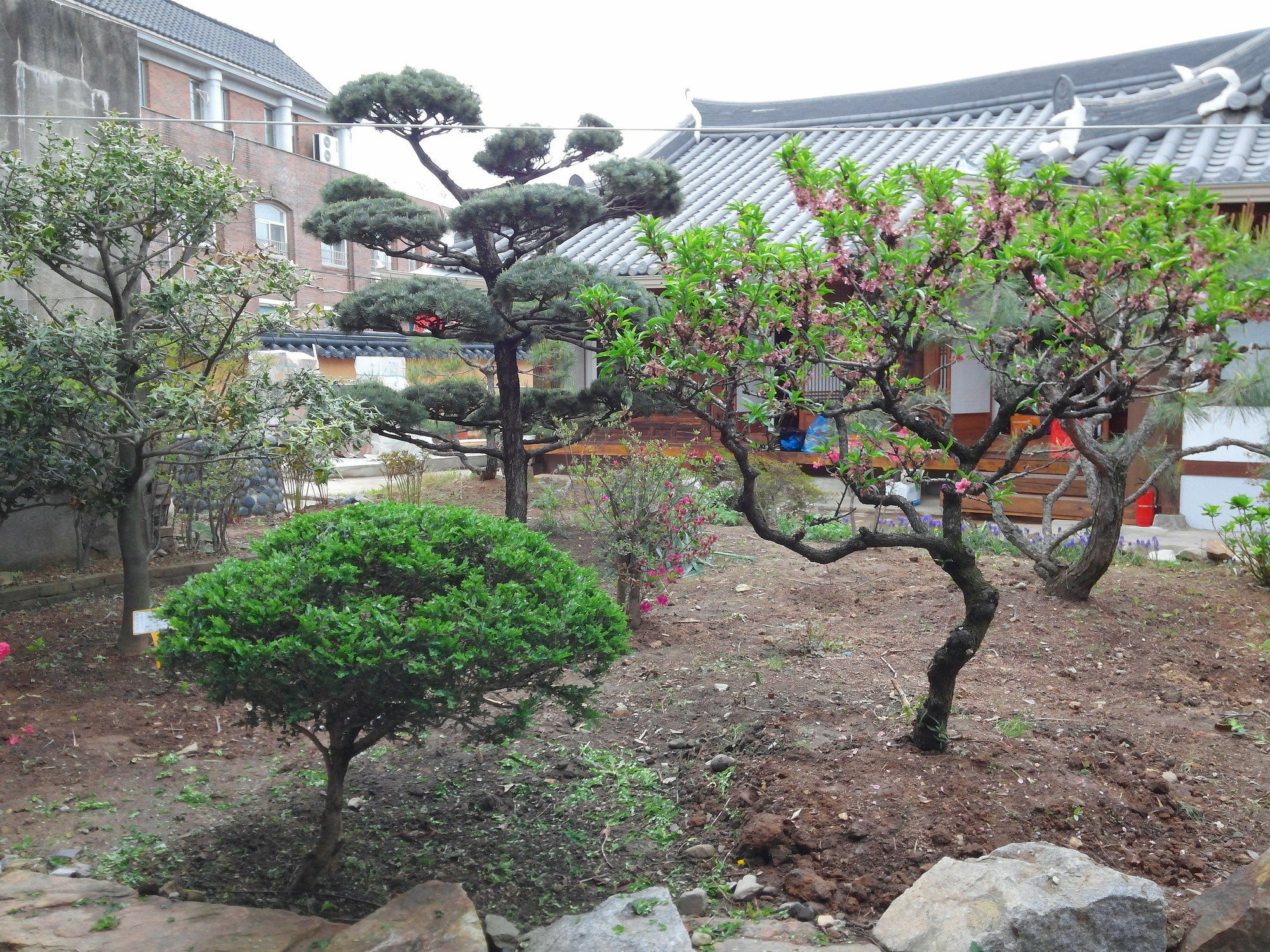 Sodamwon Jeonju Eksteriør bilde