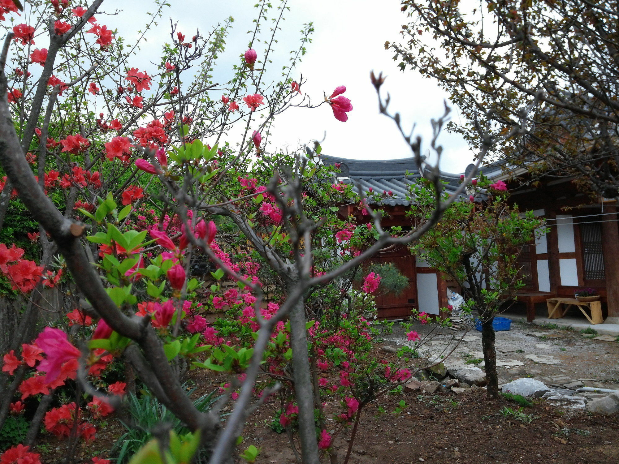 Sodamwon Jeonju Eksteriør bilde
