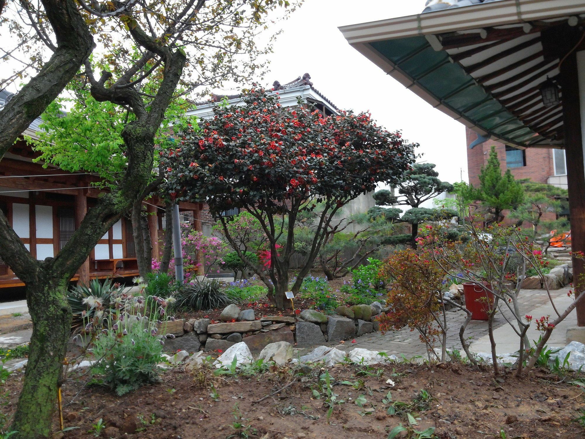 Sodamwon Jeonju Eksteriør bilde