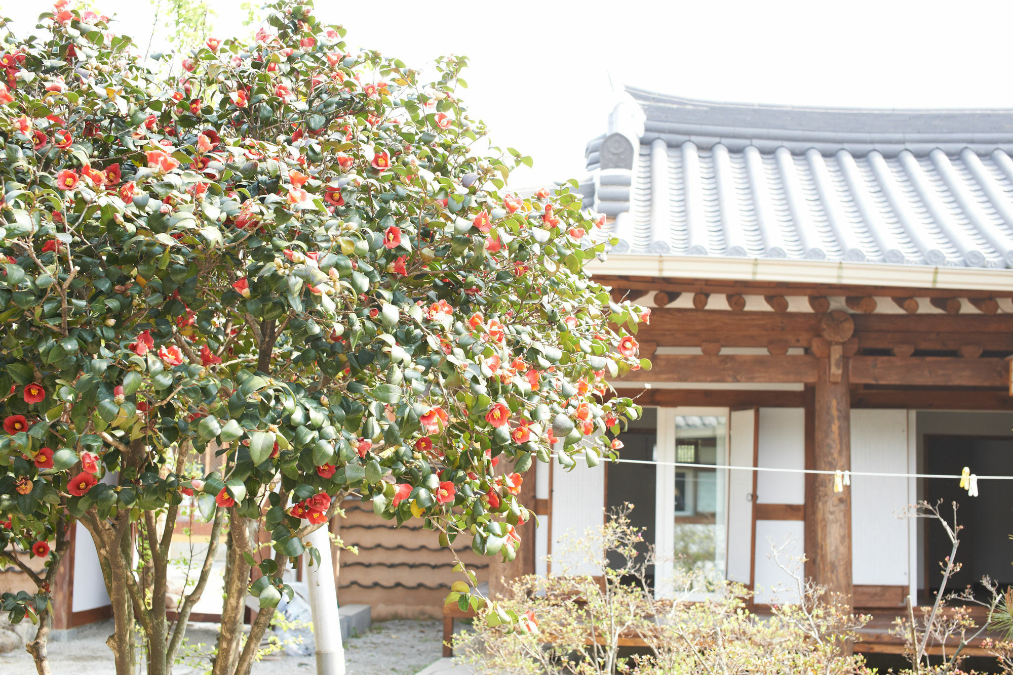 Sodamwon Jeonju Eksteriør bilde