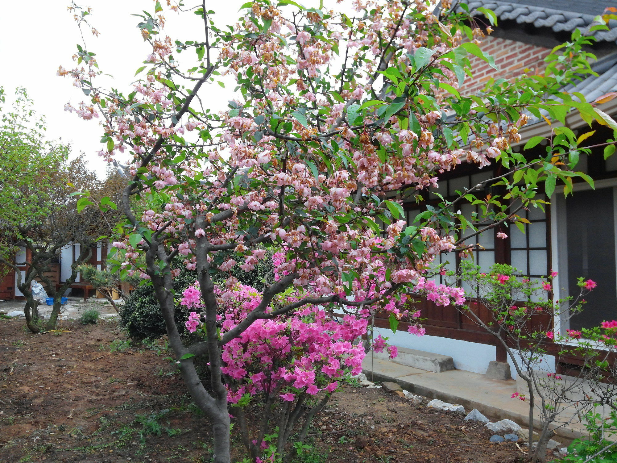 Sodamwon Jeonju Eksteriør bilde