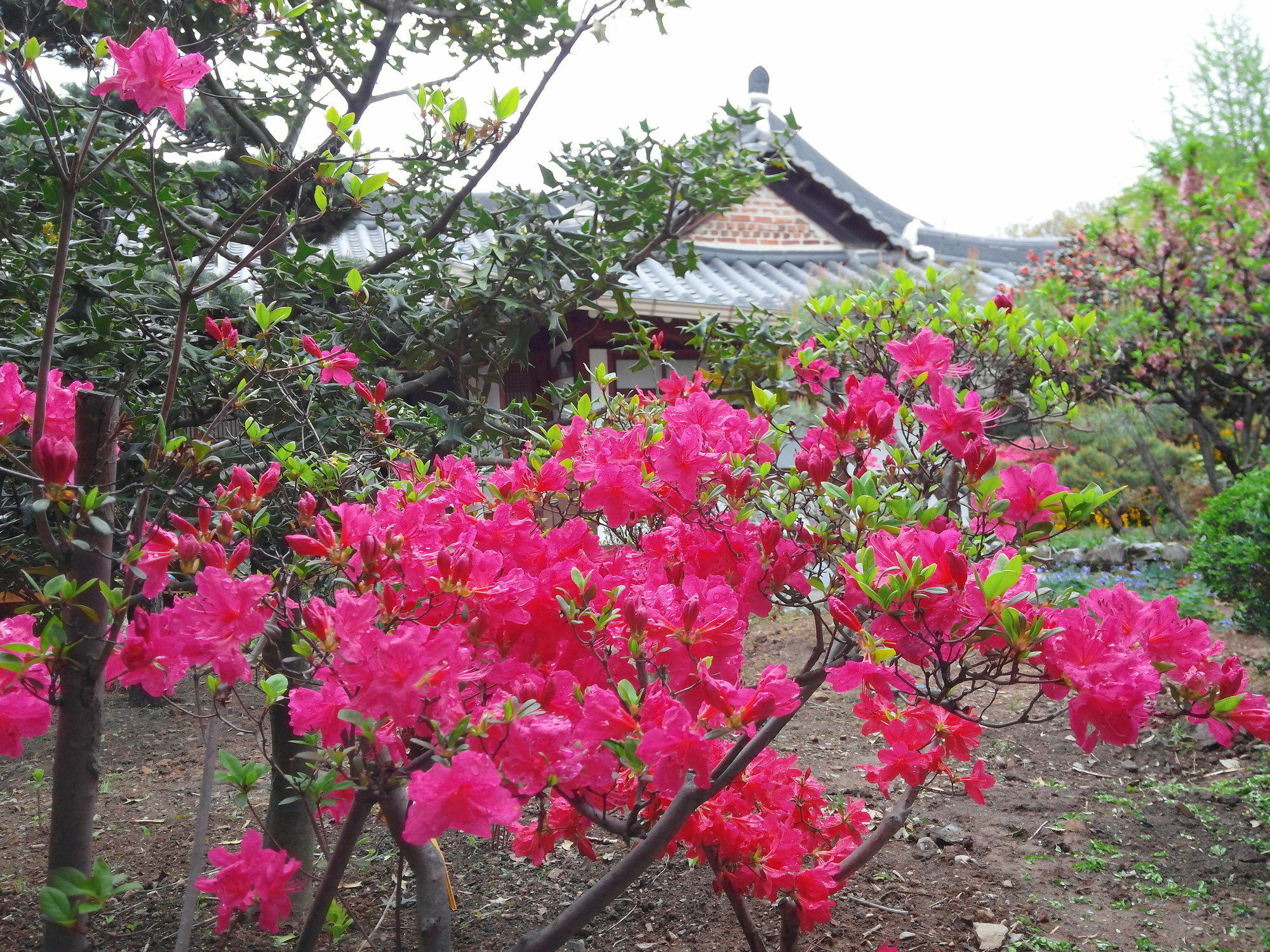 Sodamwon Jeonju Eksteriør bilde